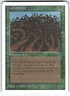 Wall of Wood Unlimited Edition Common Magic: the gathering Near Mint or Better