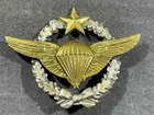 POST WW2 WWII French France Army Military Airborne Jump Wings Paratrooper Badge