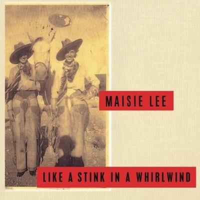 LIKE A STINK IN A WHIRLWIND By Maisie Kane Lee *Excellent Condition*