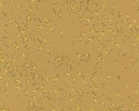 Designertapete Versace Home BlüTen Gold 93585-3 (6,43€/1Qm)