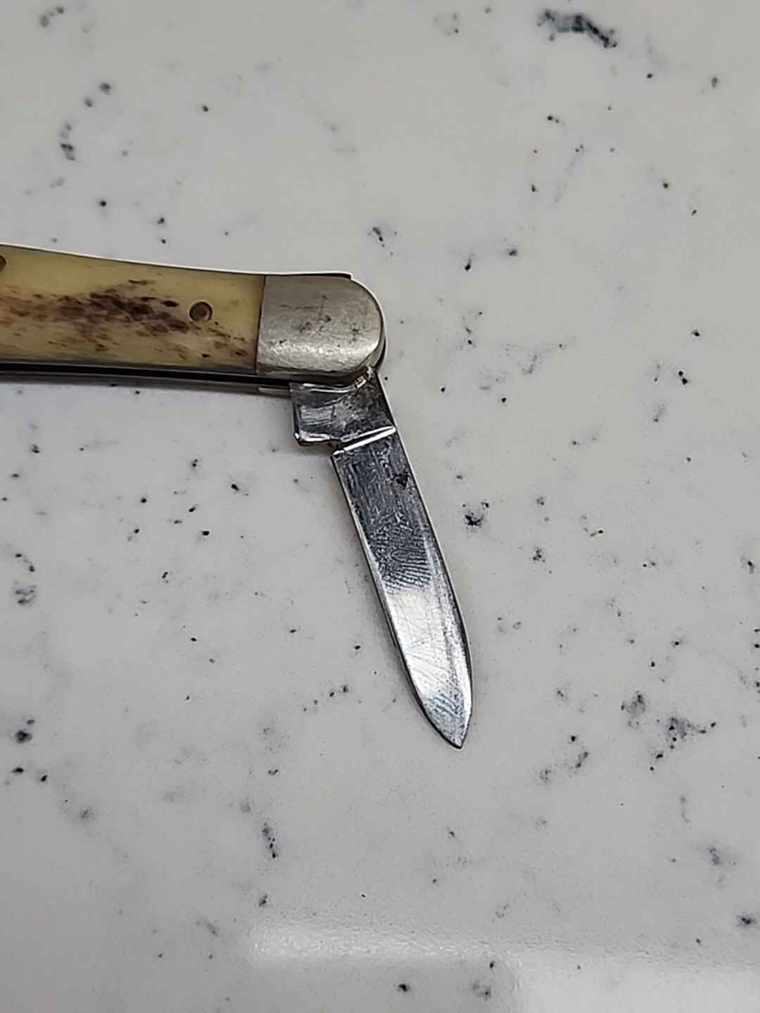 Vintage Case XX A6208 Half Whittler Appaloosa Bone Pocket Knife eBay