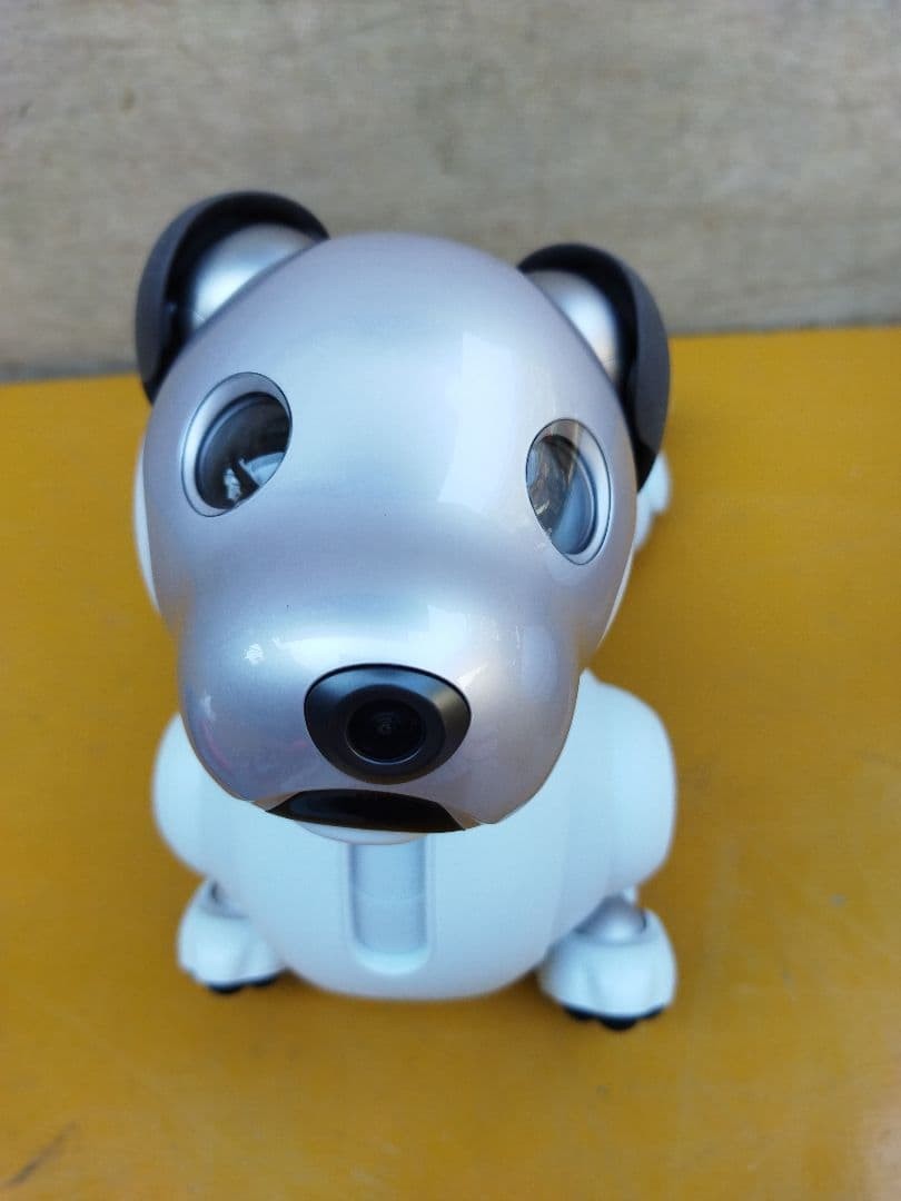 Sony aibo ERS-1000 Pet Robot Dog Tested Working Used Japan with