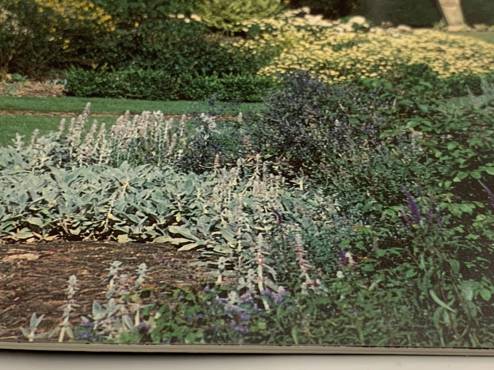 Picture 4 of 8