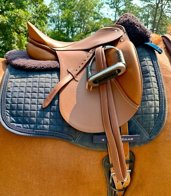 Passier Optimum Dressage Saddle Teak 16.5