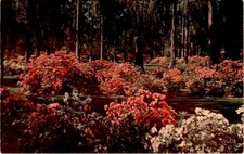 TICHNOR BROS., INC., BOSTON 15, MASS, U. S Postcard