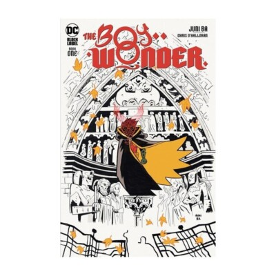 THE BOY WONDER #1 CVR A  DC  COMICS  STOCK PHOTO 2024