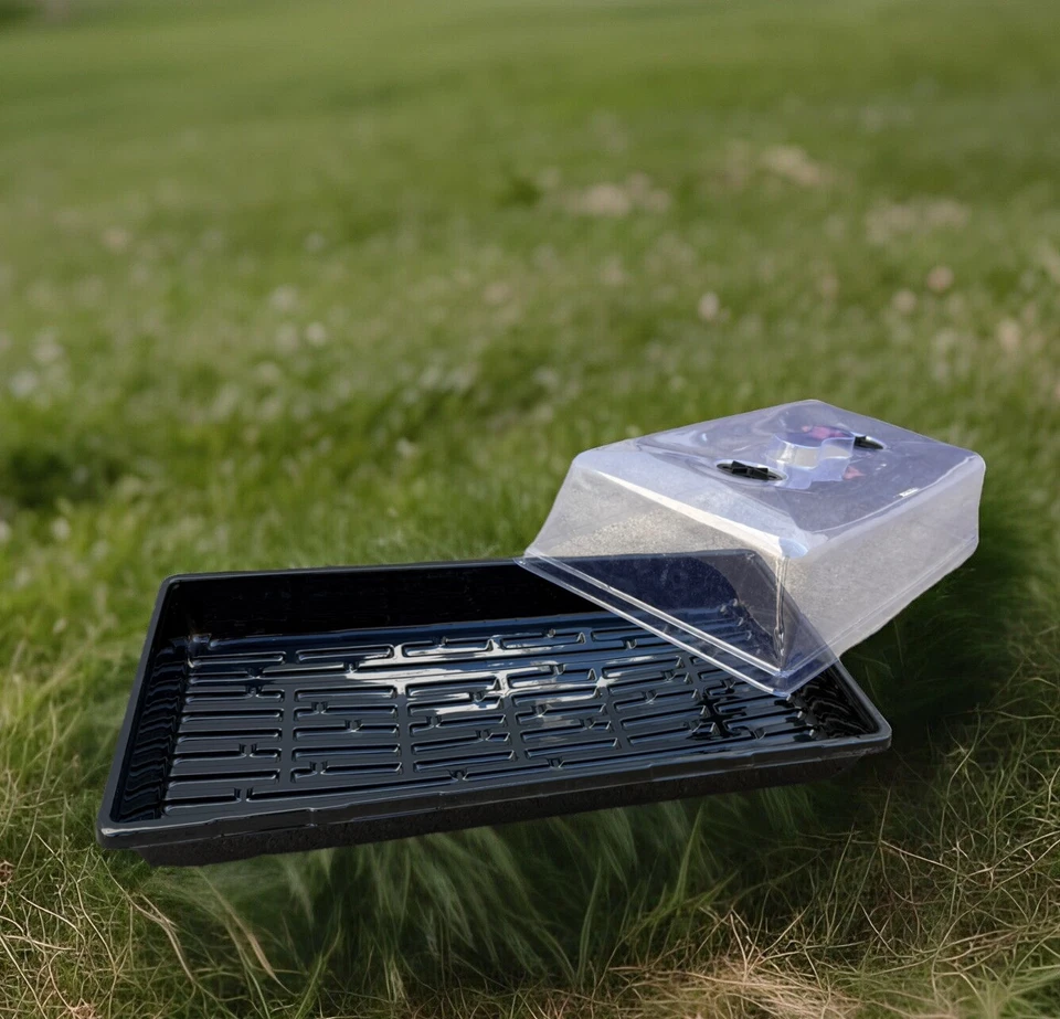 Lot 33 Vented Humidity Dome Mushroom Fruiting Incubating Chamber Kit Tray - Image 2 of 4