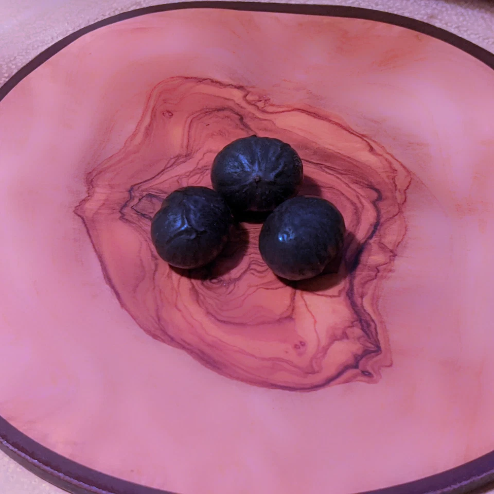 Caryota mitis (Fishtail Palm Tree) 3 to 25 Seeds - RARE Indoor House Plant | UK - Image 3 of 3