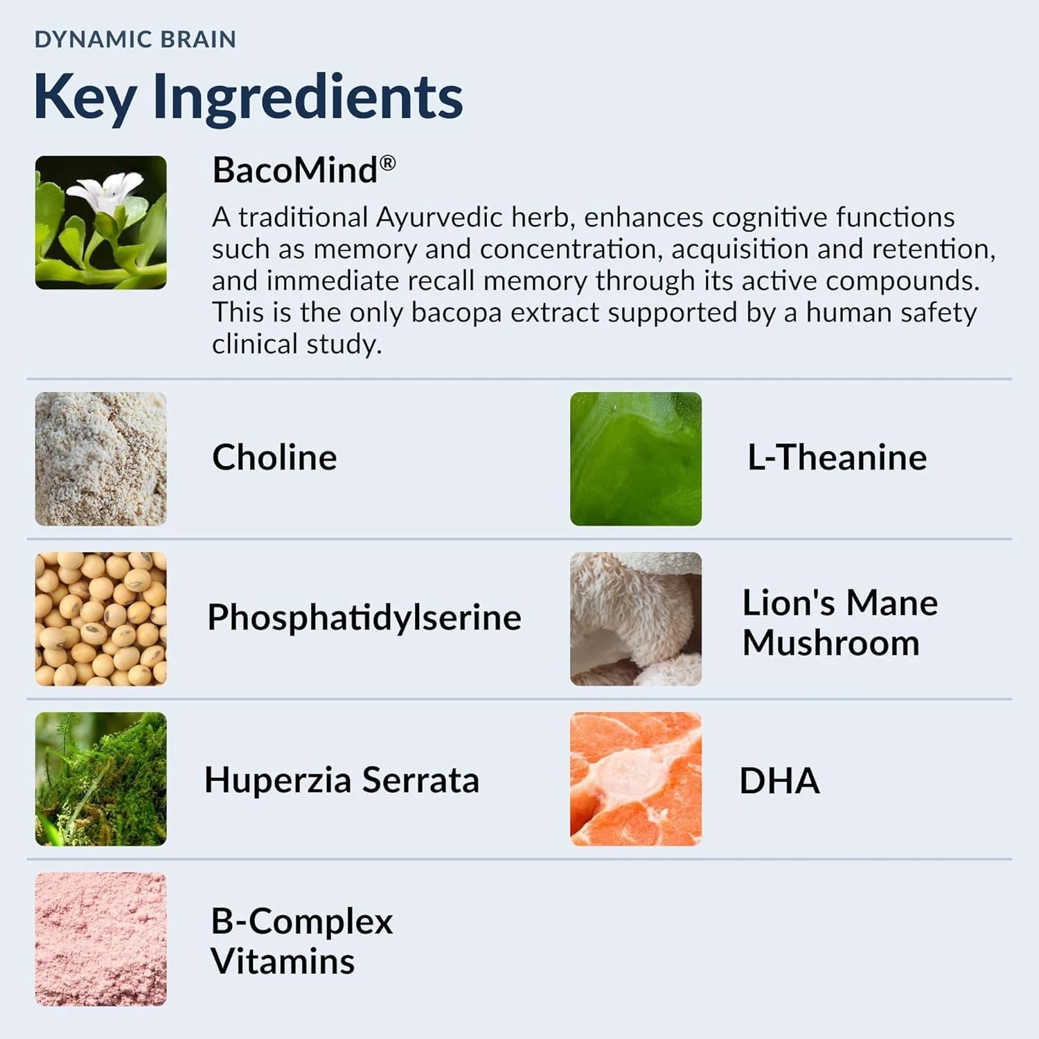 Dynamic Brain Supplement