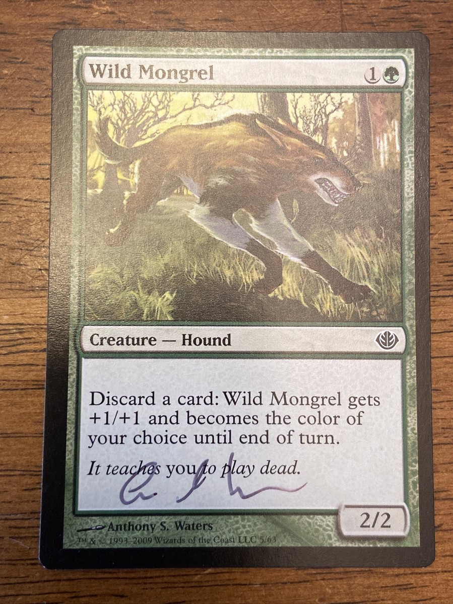 Wild Mongrel MTG Signed By Artist Anthony Waters | eBay