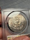 (#103038) Morgan Dollar: 1902 S.  PCGS AU 55.  Better date!  (see video!) — photo 5