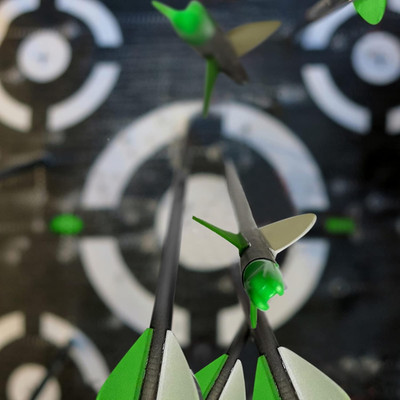 29 Inch Carbon Arrow Practice Hunting Arrows Spine 400 with Removable Tips fo...