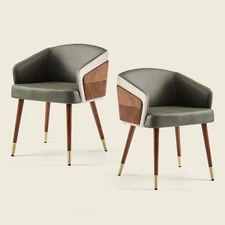 Dinning Room Chairs Set of 2,Fabric Upholstered Accent Chairs for Living Room Ar