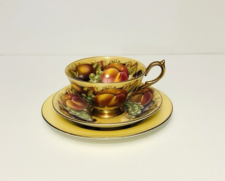 AYNSLEY Orchard Gold ENGLAND 【公式通販】