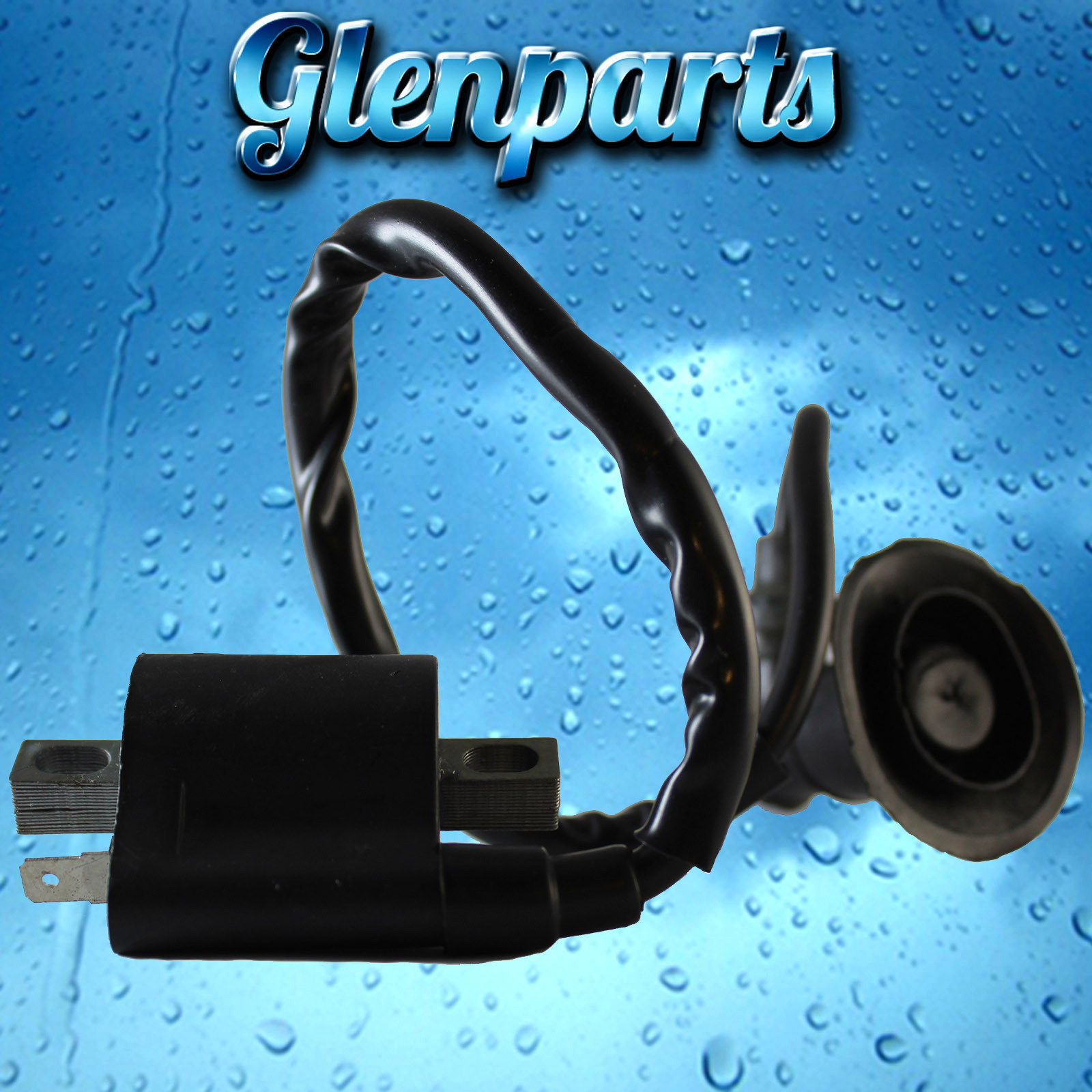 Sell 2001 Polaris Scrambler/Sportsman 90cc Ignition Coil In Weatherford - Foto 5