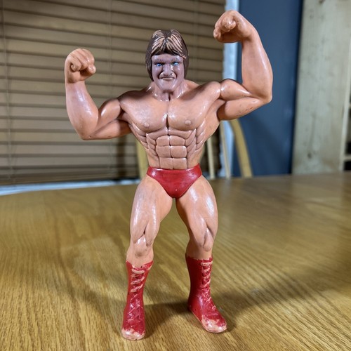 Vintage WWE Action Figure Mr Wonderful 1985 Titan ...