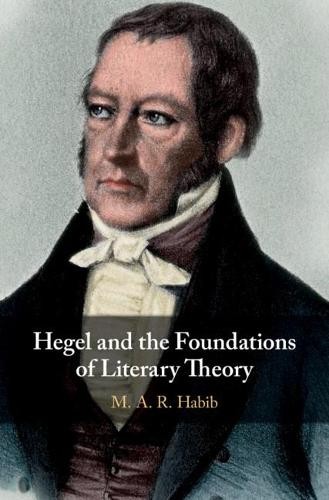 Hegel and the Foundations of Literary Theory by M. A. R. Habib - 9781108471381