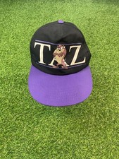 Vintage Looney Tunes 1994 TAZ Snapback Baseball Hat Cap Youth Warner Bros TD
