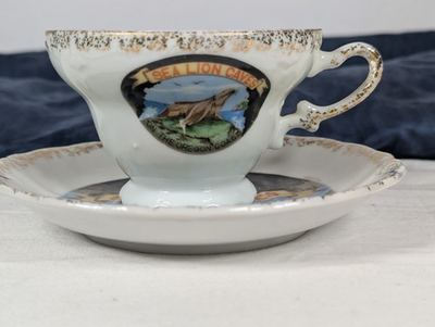 #ad EFCO Sea Lion Caves Florence Oregon Pacific Northwest Teacup Saucer 1950s $33.50
