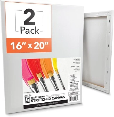 U.S. ART SUPPLY Stretched Artist Cotton Canvas 16x20 Painting Supplies Blank Canvas 2-Pack