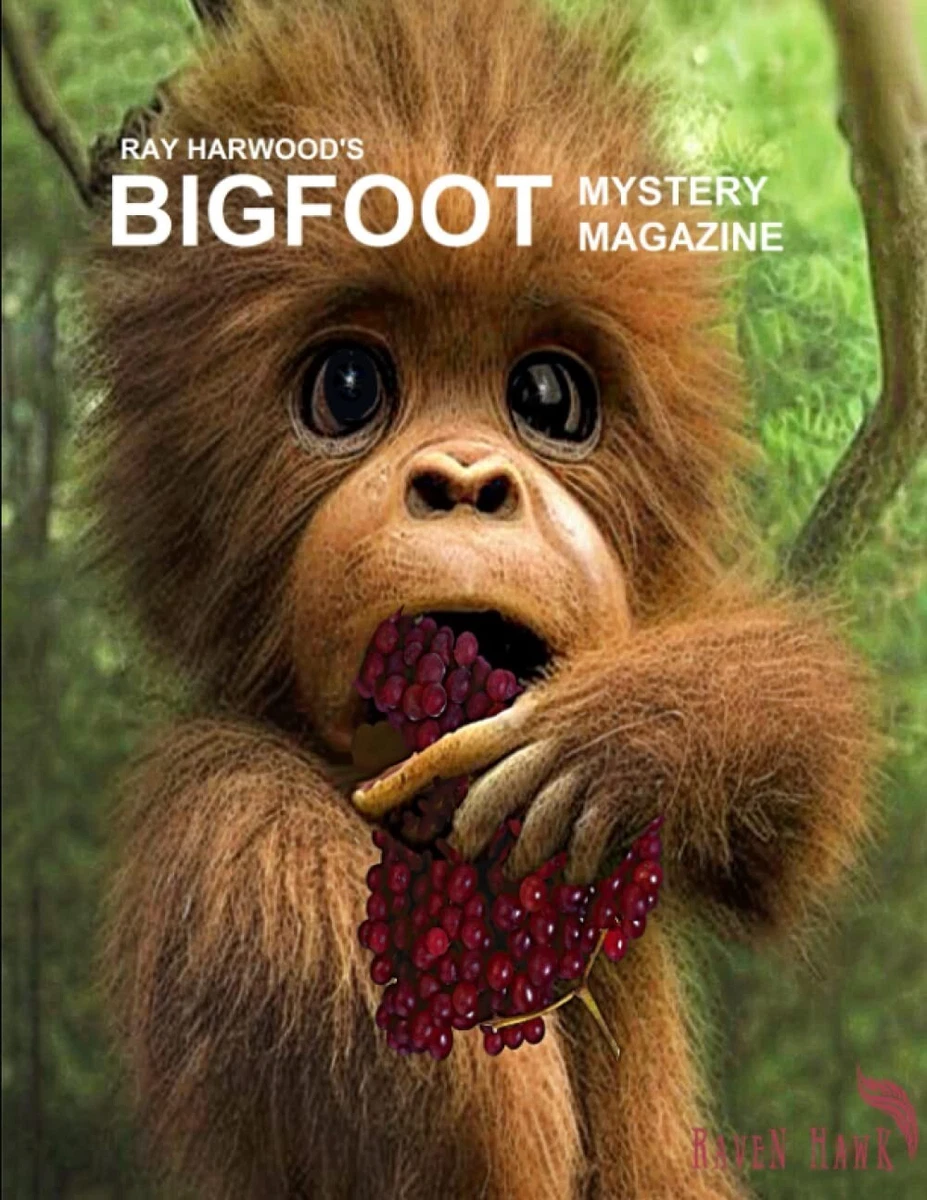 Bigfoot Quest Magazine: July 2023 by Ray Harwood