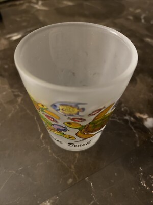 Frosted Venice Beach Shotglass 2.3'' Tall