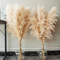 Pampas Grass Xxl Trockenblumenstrauß Set 10 StüCk 100Cm - Deko Wohnzimmer