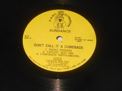 Sundance - 12'' Maxi - Don't Call It A Comeback - USA 1992 - Soul Influence