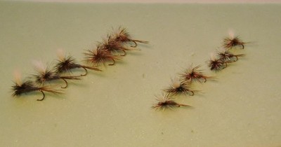 1 DZ PARACHUTE  ADAMS dry flies size # 12, 14, 16 & 18