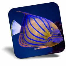 Awesome Fridge Magnet - Tropical Bluering Angelfish Reef Fish Cool Gift #16055