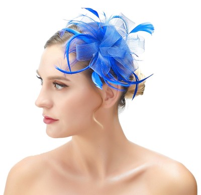Royal Blue Feather Mesh Wedding Fascinator Headband Woman  display picture 1