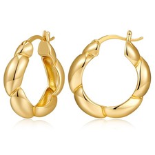 Twisted Hoop Earrings for Women Trendy Twisted Huggie Hoop Earrings Jewelry Gift