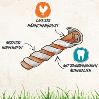 8In1 Pro Dental Twisted Sticks - Zahnpflege Kaustangen FüR Hunde 35 Stk