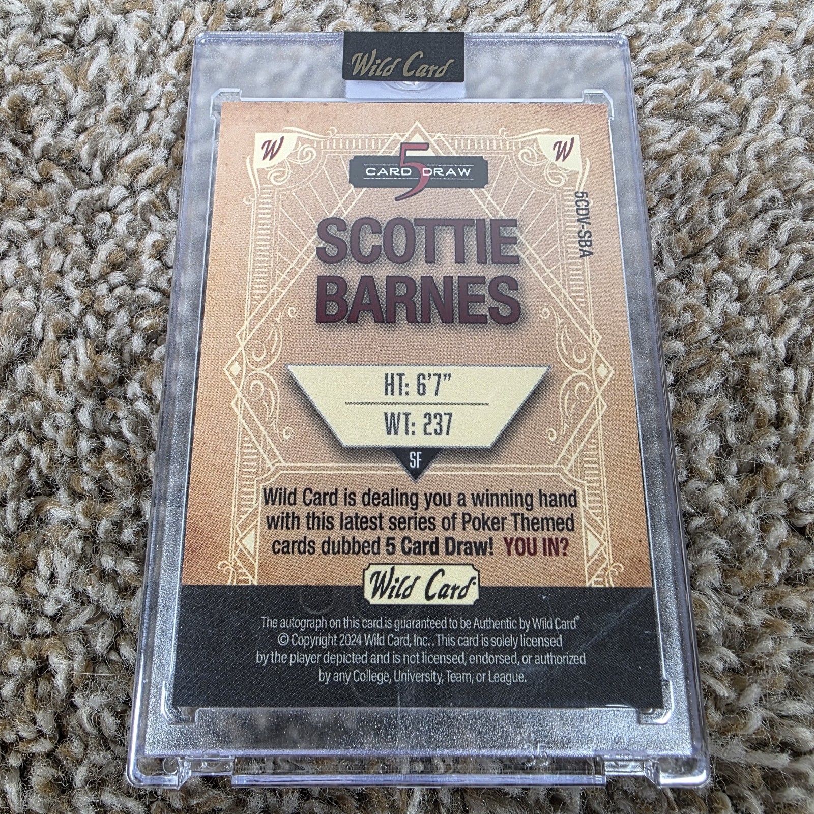 2024 Wild Card Scottie Barnes 5 Card Draw Basketball 1/1 Auto Toronto Raptors view 2