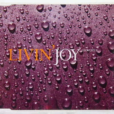 Music Musik MAXI CD Livin' Joy   Dreamer Sehr Gut