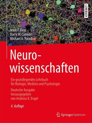 Neurowissenschaften | Mark F. Bear (u. a.) | Buch | XXXVI | Deutsch | 2018
