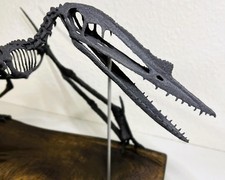 Scheletro di pterosauro Darwinopterus a grandezza naturale - replica fossile rifinito a mano