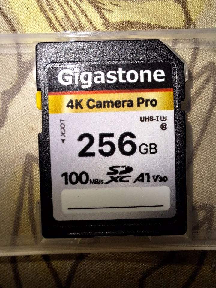 carte sd 256 GB 4K - Photo 1/1
