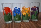 VTG Anchor Hocking DRINKING GLASSES NINA 1983 SPRING FLORAL 6 1/4" Tumbler SET 4