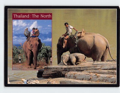 Postcard Thai elephants The North Thailand