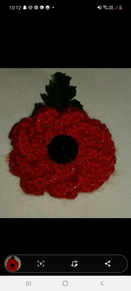Sparkly poppy deals brooch