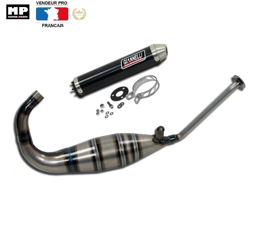 Pot d'échappement Giannelli Aprilia RS 125 Pista 2006-2012 silencieux et pot de détente
