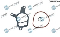 Dichtungssatz, Unterdruckpumpe Dr.Motor Automotive DRM01309 FüR Audi Cupra VW