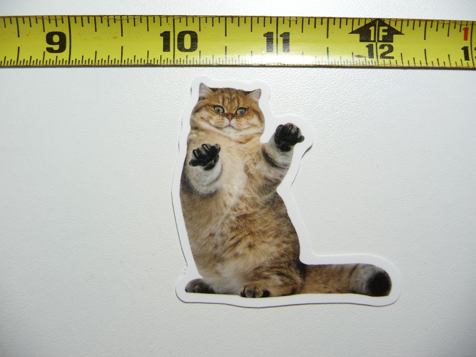 Playful Cat Decal Sticker for Pet Lovers and Home Decor