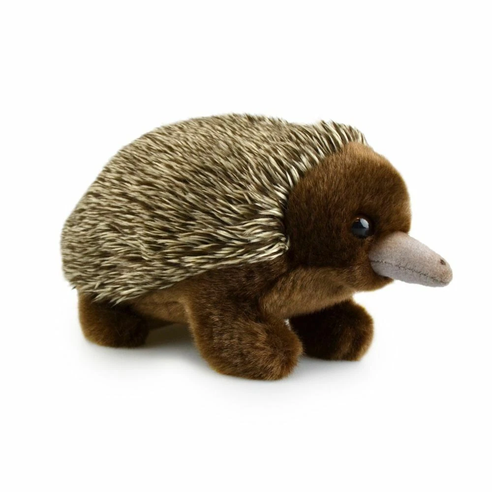 Echidna plush toy hotsell