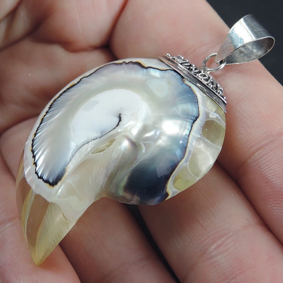 Gioielli pendenti in argento sterling 925 conchiglia naturale trasparente Nau... - Immagine 4 di 4