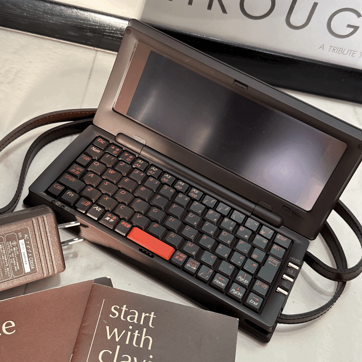 Louis Vuitton Novelty Laptop Computer Damier Ebene CELUX VIP