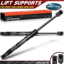 2x Rear Trunk Lift Supports Shocks Struts for Dodge Challenger 08-21 w/o Spoiler