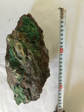 rare rocks fossils minerals crystals