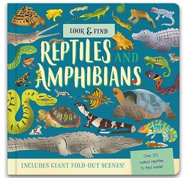 Look and Find Fold-Out Board Book by North Parade Publishing (HB 2024) - Image 4
